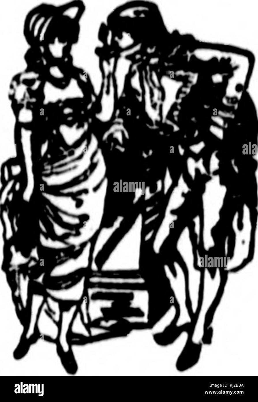 The Sportsman S Guide Pour La Chasse Et Le Tir A L Enceinte De L Organisation Des Etats Unis Et Du Canada Microforme La Chasse Chasse Chasse Chasse Un U8 Ntuy A W K Iti Diitiiitifl Ohherv Rliioht