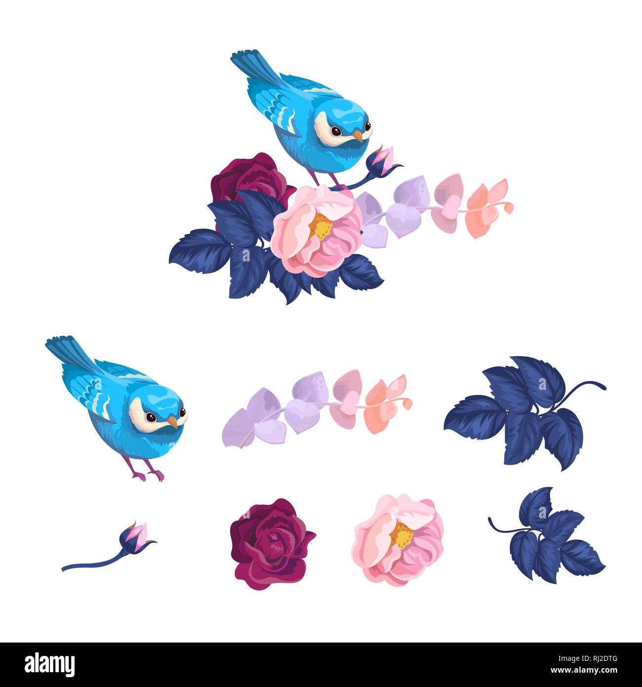 Printemps Bleu oiseau sur Branche de fleurs Aquarelle Kit. Bouquet floral abstrait d'été avec des feuilles de pivoine et Rossignol. Fleur bourgeon romantique de l'élément de l'oeuvre Illustration de Vecteur