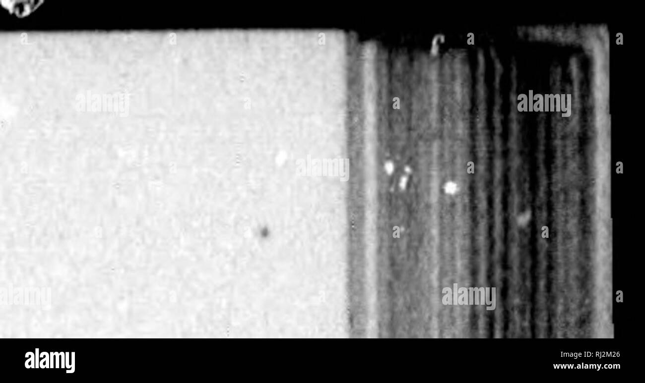 . Le Sportsman's paradise, ou des terres, le lac du Canada [microforme]. La chasse, la pêche, chasse, pêche sportive. Ou, LE LAC DES TERRES DU CANADA. 179 ce motif avait été occupé comme un camp indien d'ici quelques années. La plupart des grands arbres a ensuite disparu, mais peared depuis le temps qu'un thiclc de sous-bois ont vu le jour. La capitaine de rappeler qu'une tribu indienne avait situé ici à peu près dix ans auparavant, engagés dans la fabrication de sucre à l'érable et au cours d'une seule saison, puis partit pour pièces inconnues. C'est ce fait qui a donné le nom (Sugar-Bush) pour le lac qui a été tr Banque D'Images