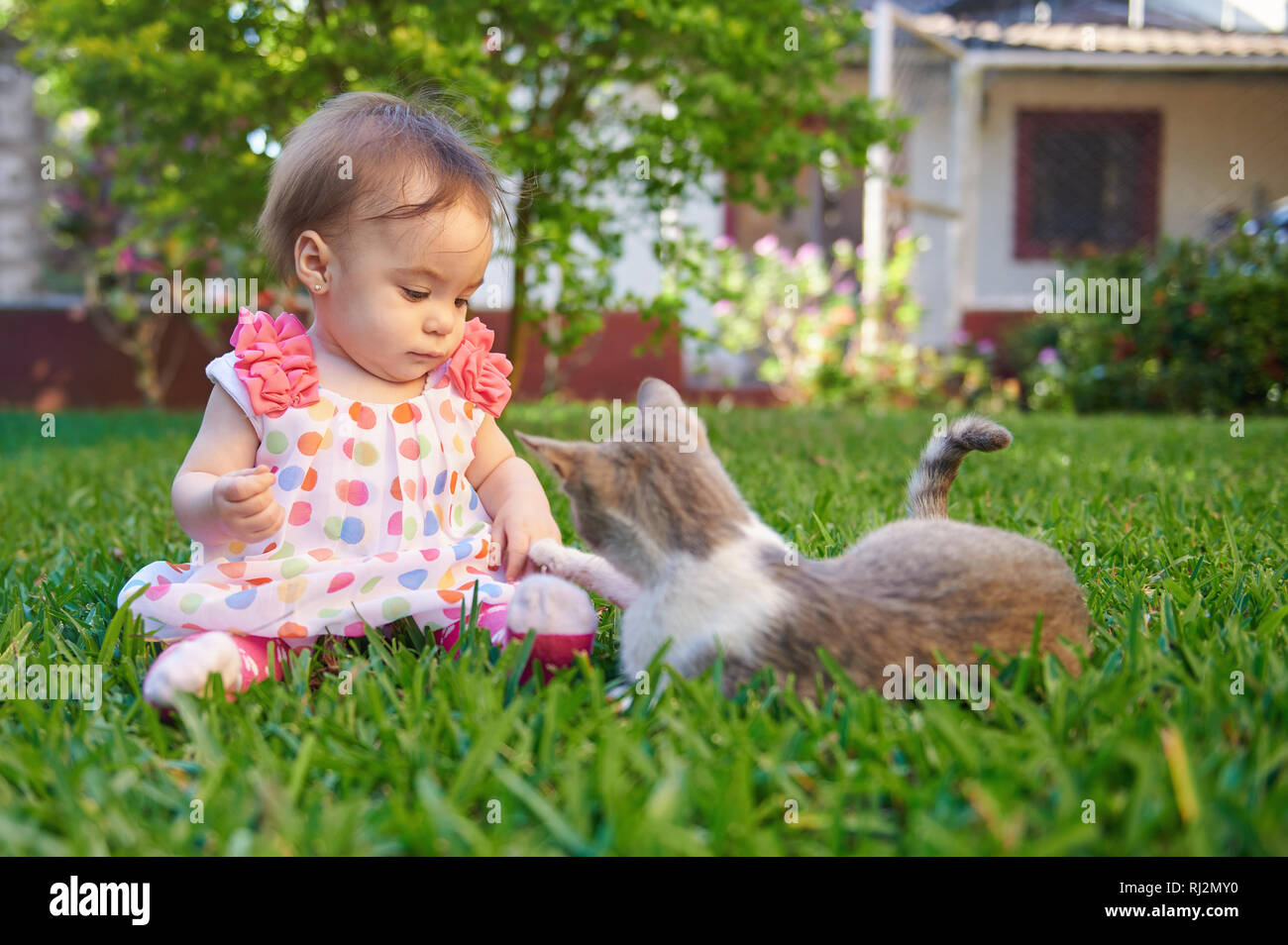 Baby Girl Playing with cat sur fond d'herbe verte Banque D'Images