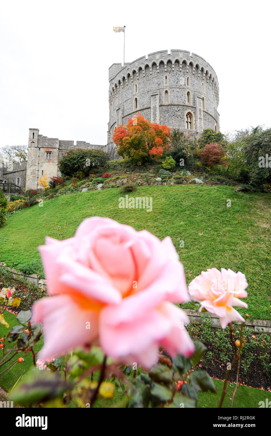 Tour ronde du château de Windsor, résidence royale à Windsor, Berkshire, Angleterre, Royaume-Uni. 25 octobre 2008 © Wojciech Strozyk / Alamy Stock Photo Banque D'Images