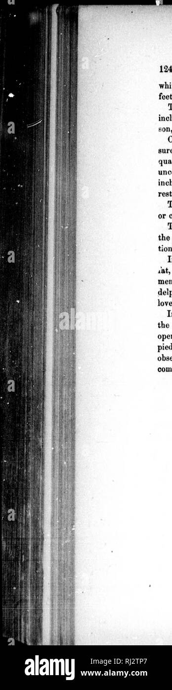 . L'ornithologie américaine, ou, l'histoire naturelle des oiseaux de l'United States [microform]. Les oiseaux sauvages, oiseaux. f, j iJfi'. 1 ! Â ¢-yt- MOINDRE Sizerin blanchâtre. blanc, formant les barres dans les ailes ; cinereous cuisses, jambes et pieds noirs ; hind claw accroché, et considérablement plus longtemps que le reste. La femelle est moins brighi dans son plumage ci-dessus ; et ses parties inférieures de plus d'un frêne couleur ; la tache sur sa couronne est d'un crim- fils d'or, ou rouge safran. Un spécimen mâle était beaucoup plus grand que le resf ;- sured il cinq pouces et trois quarts de longueur, et de 9 pouces et un quart en Banque D'Images
