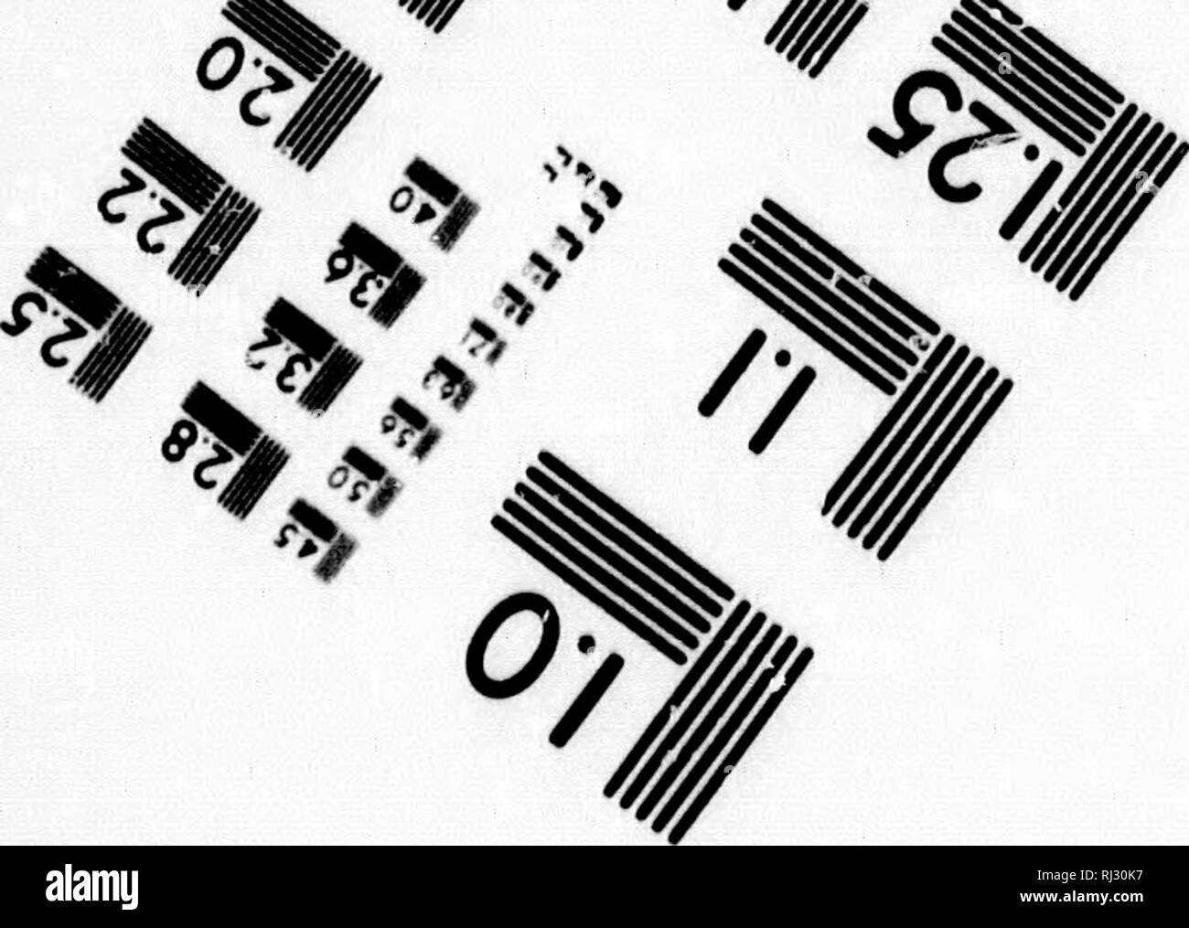 . Les insectes de l'enseignement supérieur en Amérique du Nord [microforme]. Les insectes ; paléontologie ; insectes fossiles ; PalÃ©ontologie. TEST D'ÉVALUATION D'IMAGE CIBLE (MT-3) // .'C' %^ ^ .^ii. i. M/..  % F 1.0 1.1 l^|28 12,5 |5o '^^^ MSB u Ii2 12,2 S 64 *â 2,0 1,8 L25 UI III.6 ^« m m i-. Corpuration Sciences photographiques n RUE WEBSTER, N.Y. MS80 (716) 872-4503. Veuillez noter que ces images sont extraites de la page numérisée des images qui peuvent avoir été retouchées numériquement pour plus de lisibilité - coloration et l'aspect de ces illustrations ne peut pas parfaitement ressembler à l'œuvre originale.. Scudder. Washington : G. P. Banque D'Images