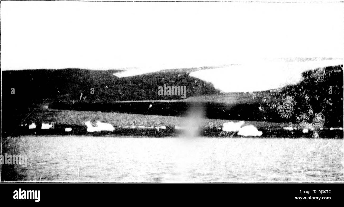 . Vers le nord au "great ice" [microforme] : un récit de vie et de travail le long des rives et à l'intérieur de la banquise du Groenland du nord dans les années 1886 et 1891-1897 : avec une description de la petite tribu d'Smith-Sound les Esquimaux, le plus septentrional des êtres humains dans le monde, et d'un compte de la découverte et de la ramener à la maison Saviksue » » ou grand Cape-York météorites. Expéditions scientifiques, Expéditions scientifiques. GLACIER DU VENTILATEUR. début de l'été. De façon régulière les conLour est frappante de ces deltas, que les Esquimaux ont gi(;n pour l-m un nom qui signifie eye Banque D'Images
