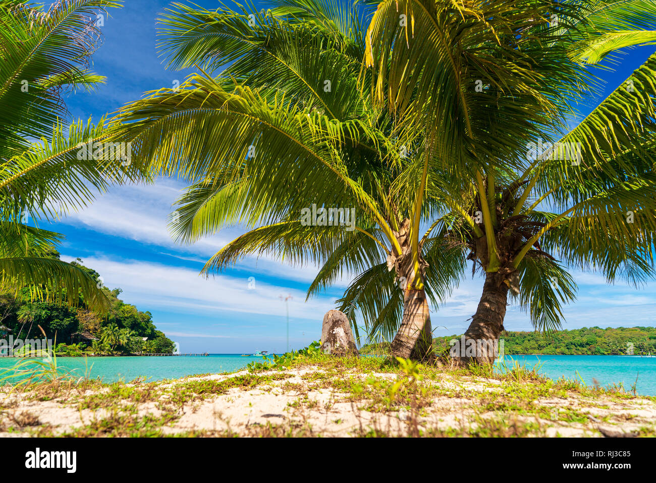 Nature Paysage et palm beach tropical sur fond de mer cristalline lagoon Banque D'Images