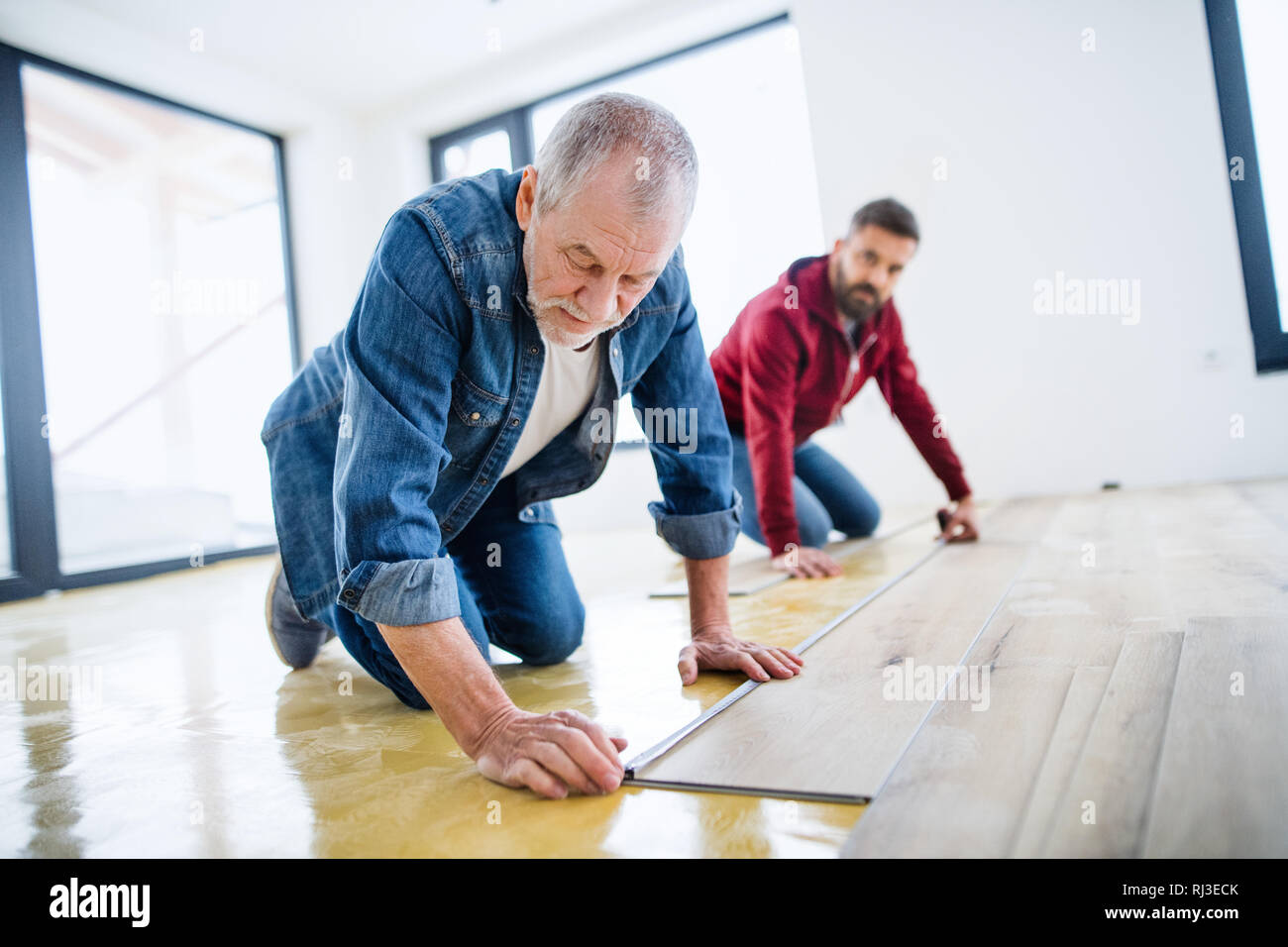 Un homme mûr avec son père pose plancher en vinyle, un nouveau concept d'accueil. Banque D'Images