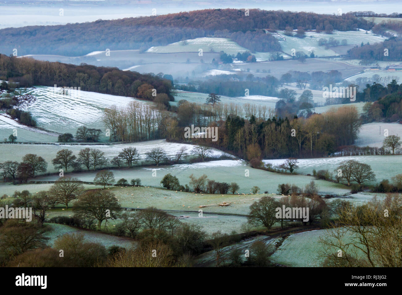 À travers les champs et les bois d'un paysage anglais sur un hiver froid matin. Eastnor, Malvern Hills, Herefordshire, Angleterre. Banque D'Images