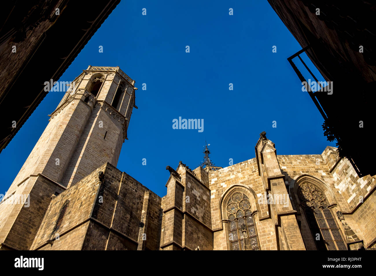 Cathédrale de Barcelone dans le quartier Gothique , La Catalogne, Espagne Banque D'Images