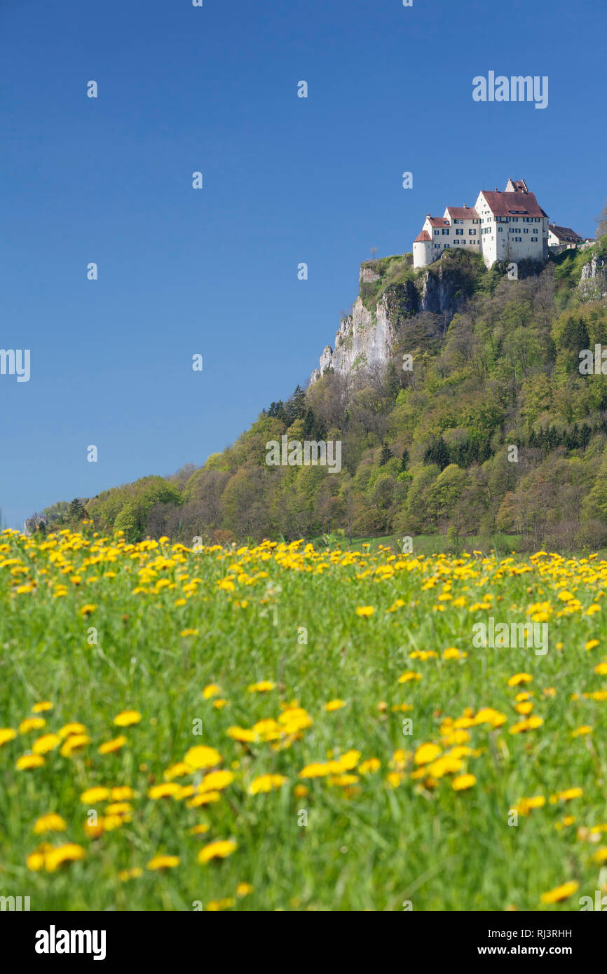 Schloss Werenwag, Hausen an der Donau, Frühjahr, Naturpark Obere Donau, Palatinat, Bade-Wurtemberg, Allemagne Banque D'Images