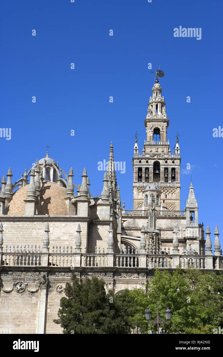 Espagne, Sevilla, Kathedrale, grˆflte gotische Kirche der Welt, auf den 'berresten der im 12. Jh. errichteten arabischen Moschee gebaut, Banque D'Images