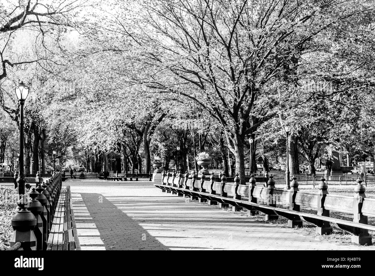 De beaux paysages à l'intérieur de Central Park à New York pendant la saison d'automne et de l'automne Banque D'Images