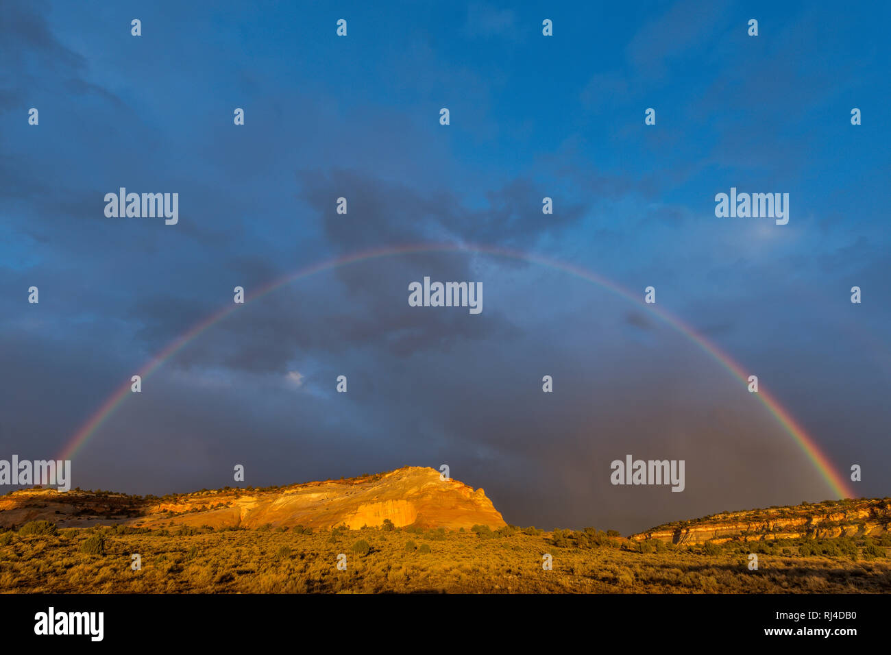 Arc-en-ciel, falaises de grès, Vermillion Cliffs National Monument, Arizona, Plateau Paria Banque D'Images
