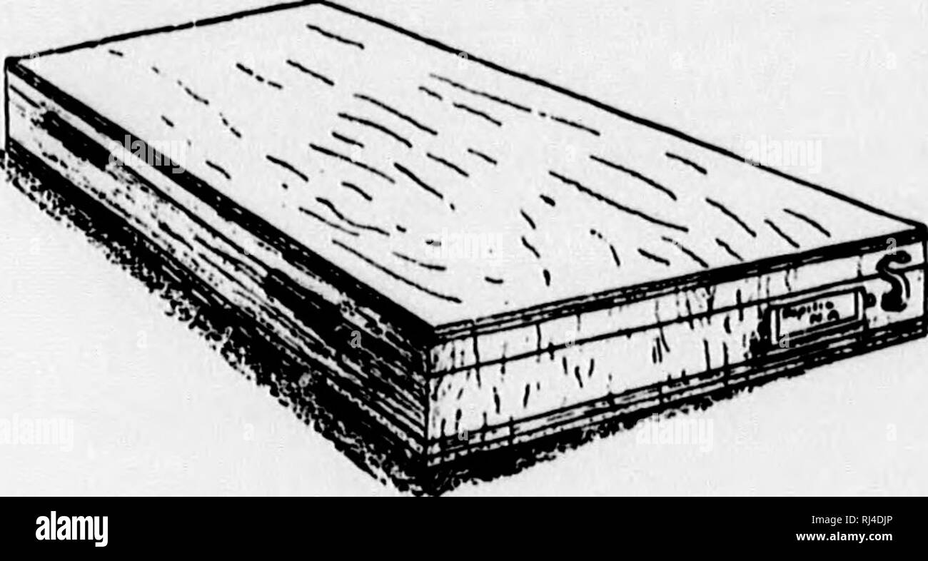 . Le papillon [microforme] : réservez un guide populaire pour une connaissance des papillons d'Amérique du Nord. Les papillons ; Papillons. Fig. 67.-détail dessiner- . , . Ing , de fort, dans une whicli le spécimen en vrac dans une boîte, tongjue ?, est constitué de bandes de zinc dans une rainure permettent la capture, la préparation et la conservation des spécimens est fabriqué pour l'application ^f de boîtes. Turf com- pressé en feuilles environ une demi-pouce d'épaisseur et recouvert de papier est utilisé par de nombreux collectionneurs européens. Feuilles de l'aloe-pith'ur des bois de la teigne, la moitié d'un pouce d'épaisseur, sont utilisés, et la moelle des tiges de maïs (Indian c Banque D'Images