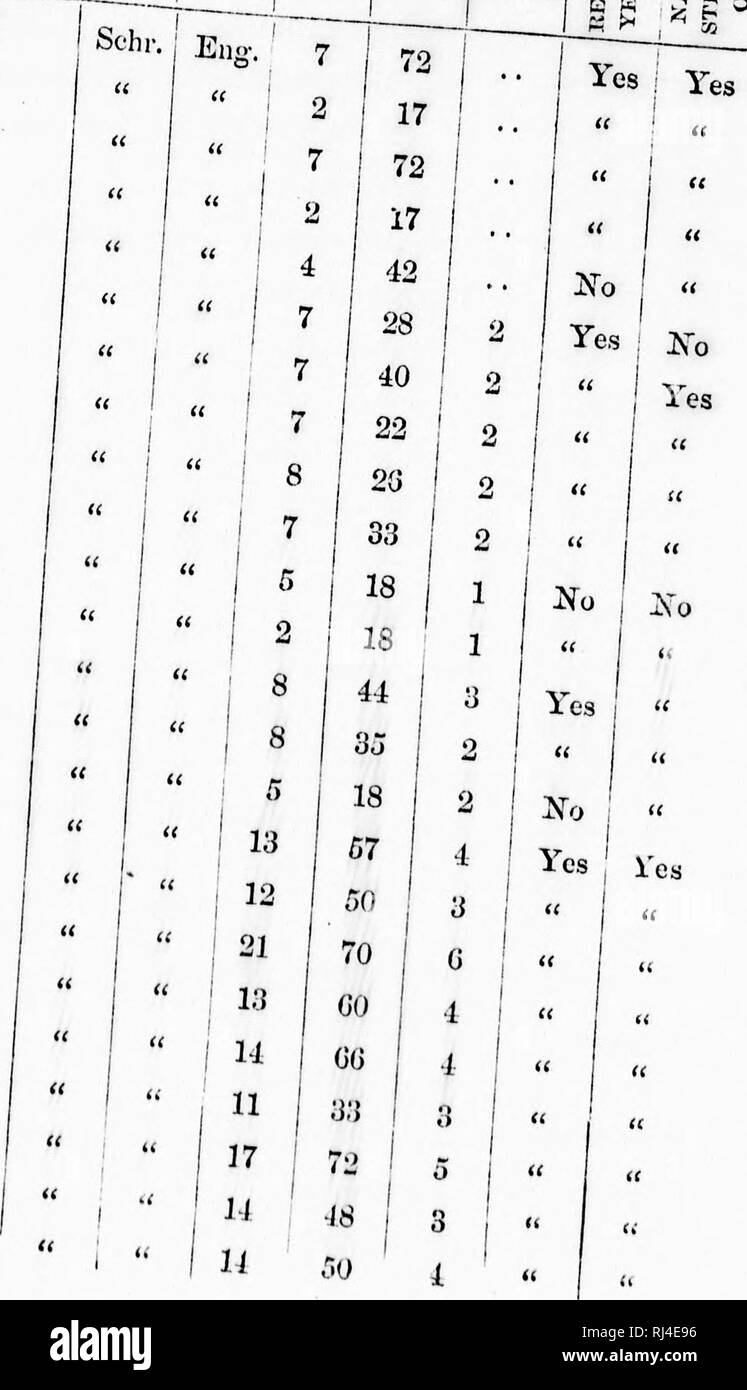 . Le rapport sur la pêche à Terre-Neuve, 1872 [microforme] : par le capitaine A. H. Hoskins, R.N., H.M.S. "Eclipse" et commandant Charles G. F. Knowles, R.N., H.M.S. "Sociable", avec certains états tabulaires, par le commandant Knowles. Les pêches, Pêches. Mahoiie Conclic^Achat St. Joliii s Cataliiui Tiirlijigton St. John's Trinity Bay (t C'ape Fj-ilis " Swain's Island &Lt ;^ieenspond rJonavisfa recnsjjond Lalfavc•( Baie " &Lt ;( J-uncber&lt;r o &Lt ;( " &Lt ;( (( 17. Veuillez noter que ces images sont extraites de la page numérisée des images qui peuvent avoir été retouchées numériquement pour plus de lisibilité - Banque D'Images
