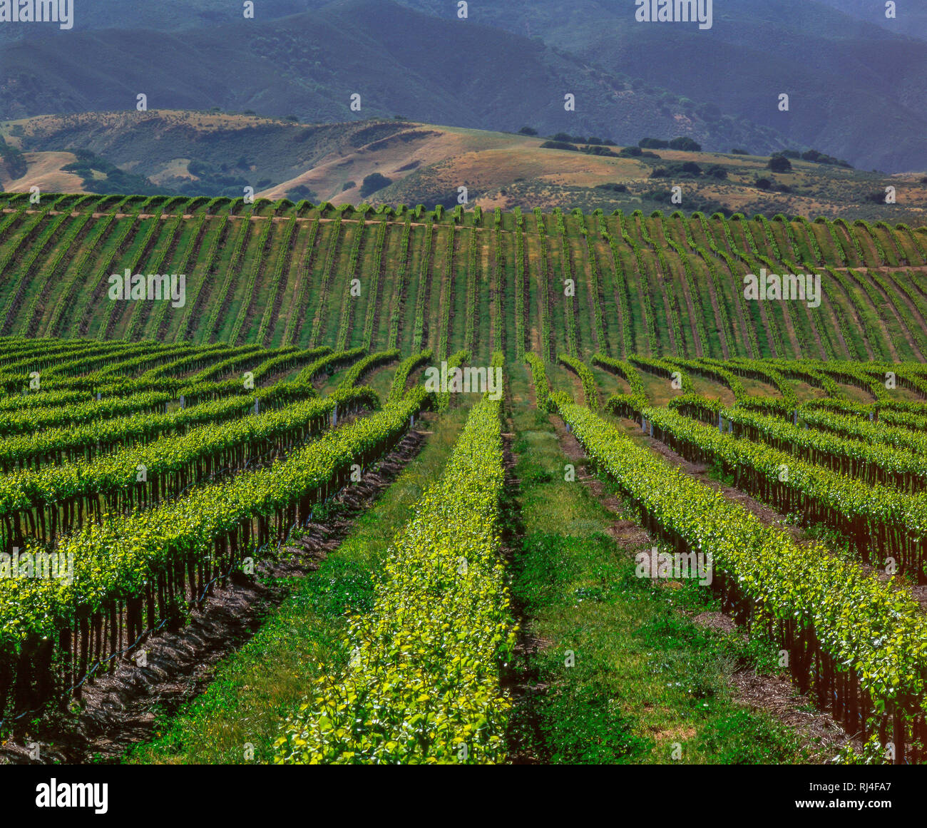 vallee de salinas banque d image et photos alamy
