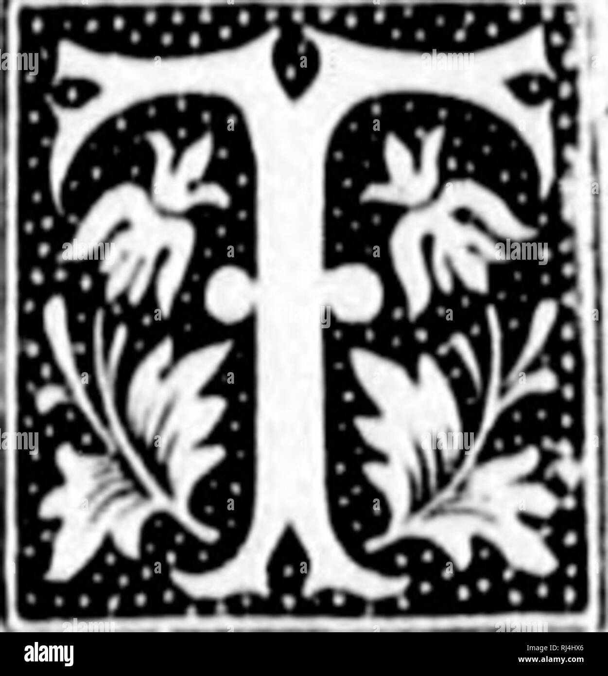 Le Monde Occidental Microforme Esquisses Pittoresques De