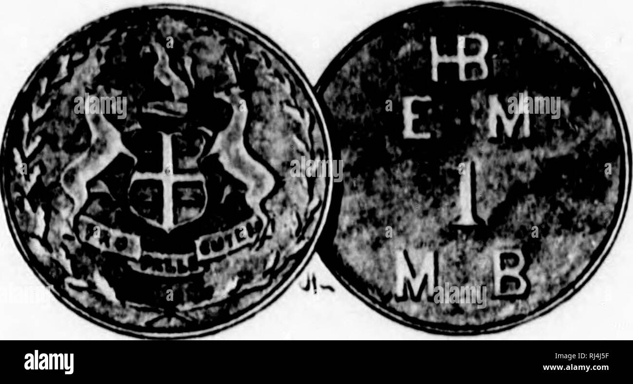 . En raquettes à la toundra [microforme] : vingt-huit milles après le boeuf musqué et le bois-bison. Chasse, Chasse. Al nil' : Il KKONIIKK "magasins" d'Hudson tlic li.iy) Coinpaii'. / Son'j.txw.ooo sterliii} ; capital-actions- est administré à Londres, l)ut le busi- Ness de la grande société est exploité à partir de la 'innipe&lt;4. avec "commissaire" C". C Chipman comme son chef. ICxcept maintenant que les marchandises re beaucoup moins cher et beaucoup plus chers, les fourrures commerce de fourrures de cette entreprise est coiuUicted à ses postes à l'intérieur des terres sur une grande partie les mêmes lignes que le pré ailed quand il a d'abord es Banque D'Images