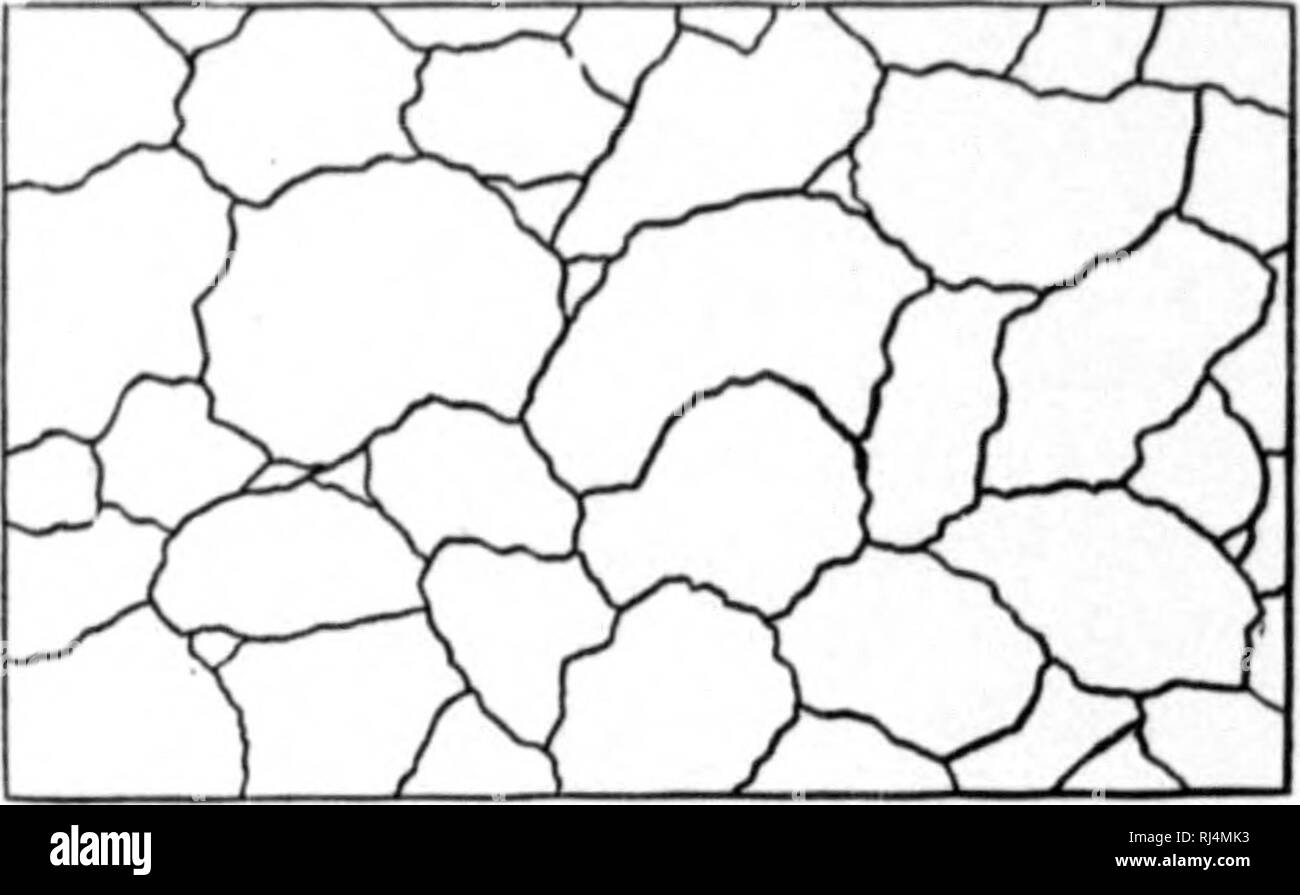 . Observations sur la géologie, la zoologie et la botanique du détroit d'Hudson et de la baie 1885 [microforme]. La géologie, la botanique, zoologie, géologie ; plantes ; Zoologie. 14 I) i&gt ; détroit d'Hudson et de la baie. Les stries glaciaires. variation de la boussole n'liavinj fountl ; été bo à environ 40° W. Un autre Kct de •gorges, près du centre de l'i.shind, a été trouvé pour exécuter S, 05" E. mug., ou à propos de N. 75° E., vrai. Sur le côté est de l'ishind* la course groovos N. 35° E. mag. ou 5° N. W., vrai.. Les formes des roches moutoane ami autre preuve offerte par le rainurage de cannelure und les roches de cette ishmd-les Banque D'Images