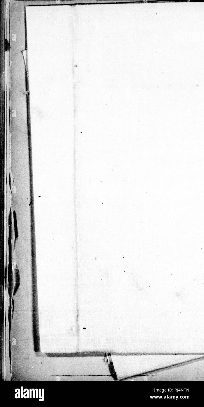 . Rapport d'une exploration dans le district du Yukon, T.N.-O., et partie nord adjacente de la Colombie-Britannique, 1887 [microforme]. Géologie ; géologie ; botanique ; arbres ; botanique ; arbres ; Indiens d'Amérique du Nord ; les Indiens d'Amérique du Nord ; Géologie ; Géologie ; botanique ; Arbres ; botanique ; Arbres ; Indiens ; Indiens. . Veuillez noter que ces images sont extraites de la page numérisée des images qui peuvent avoir été retouchées numériquement pour plus de lisibilité - coloration et l'aspect de ces illustrations ne peut pas parfaitement ressembler à l'œuvre originale.. Dawson, George M. , 1849-1901 ; géologie et d'histoire naturelle du Ca Banque D'Images