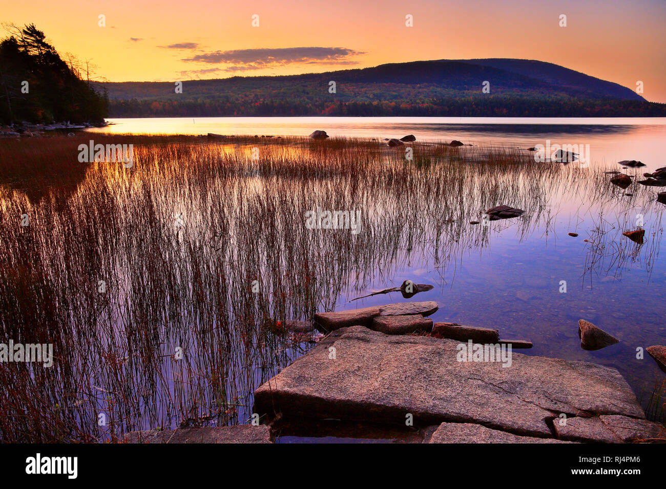 Le lever du soleil, le lac Eagle, l'Acadia National Park, Maine, USA Banque D'Images