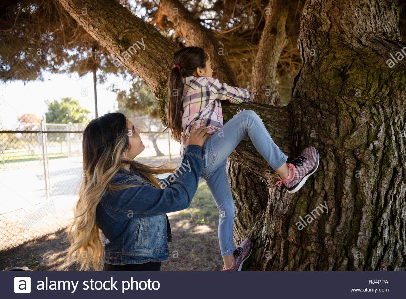 Sœurs Latinx climbing tree in park Banque D'Images