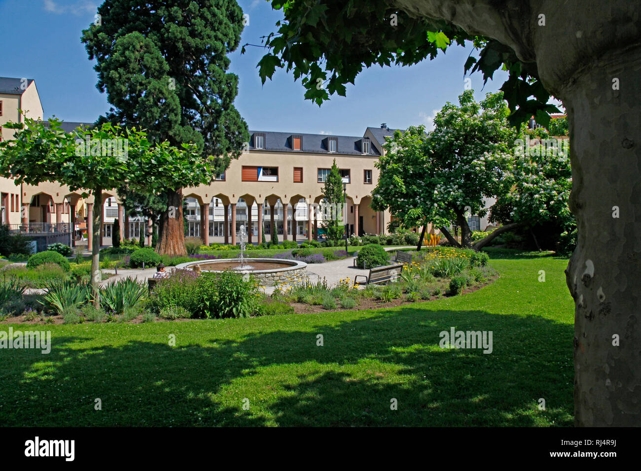Deutschland, Hessen, Kronberg im Taunus, Schulgarten, Banque D'Images