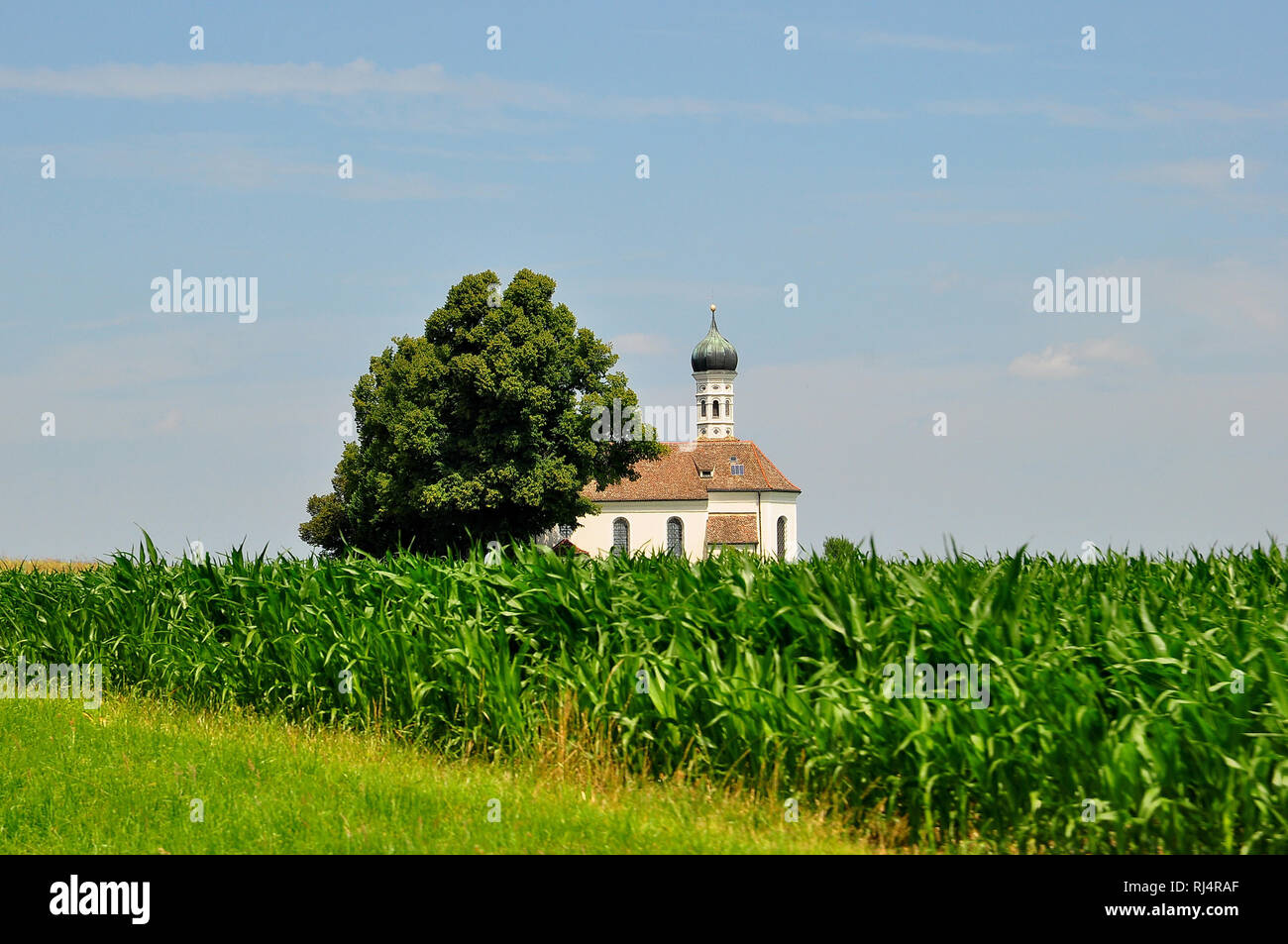 Deutschland, Bayern, Voralpenland, Kirche St. André ? Dans réglage, Banque D'Images