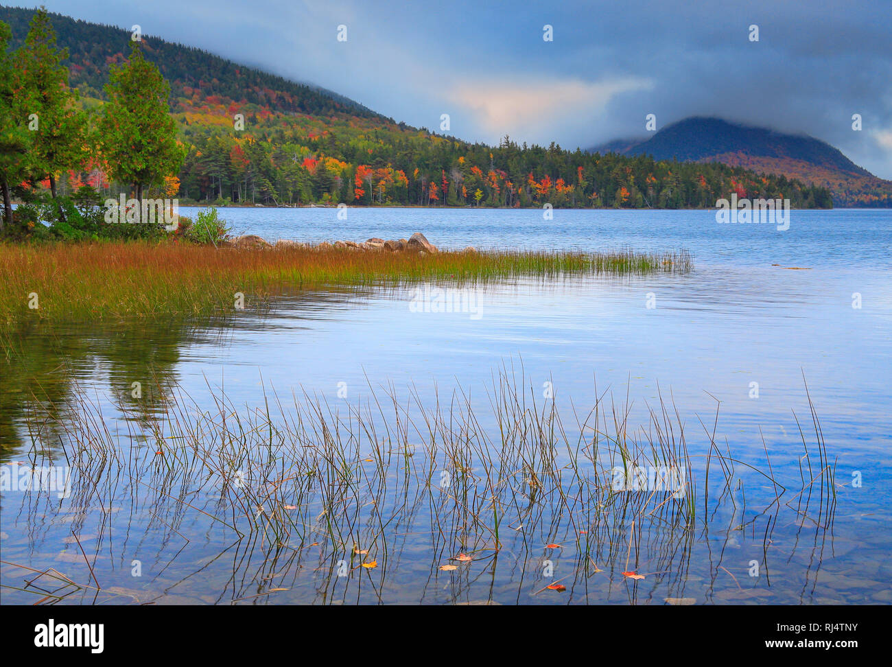 Eagle Lake, l'Acadia National Park, Maine, USA Banque D'Images