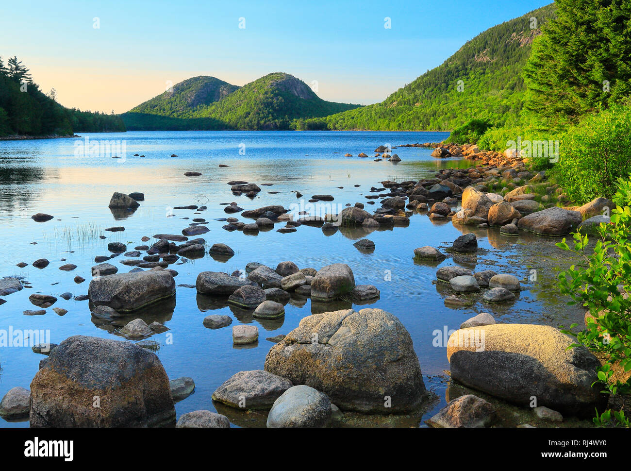 Sentier de la rive de l'étang de la Jordanie, l'Acadia National Park, Mount Desert Island, Maine, USA Banque D'Images