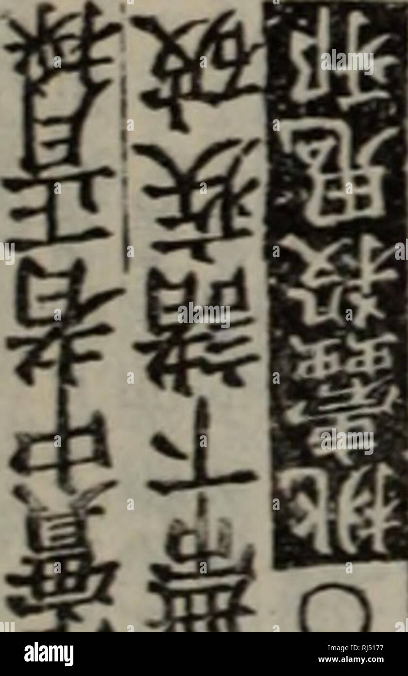 Chong Xiu Zhen He Jin Shi Zheng Lei Bei Yong Cao Yao Ea Ac Ae A E C A C Ae E Herb V J J 117 Les Juges Les Juges Tji J Frtfj 4 W3 A A Tu N