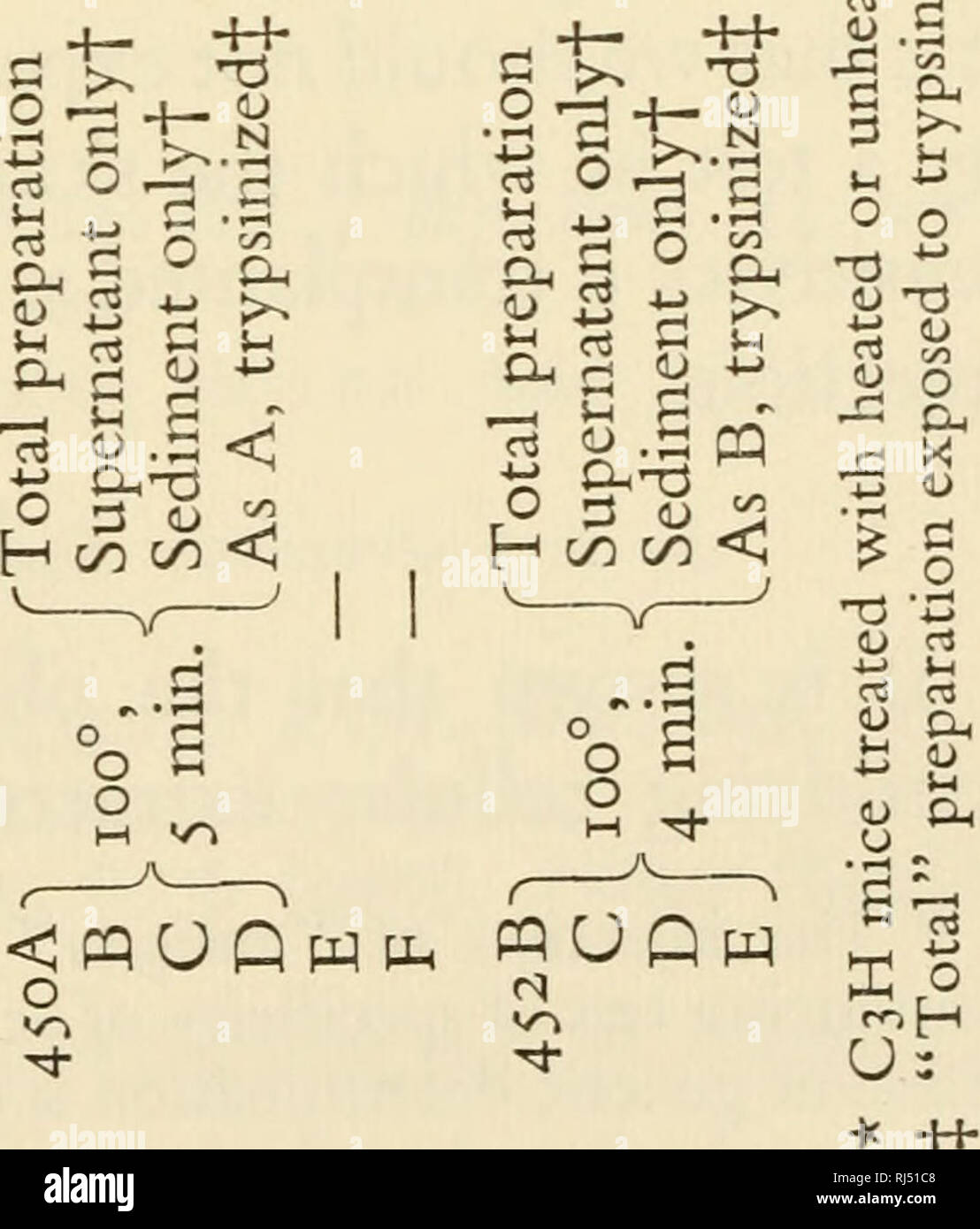 Pq 17 Banque D Image Et Photos Alamy