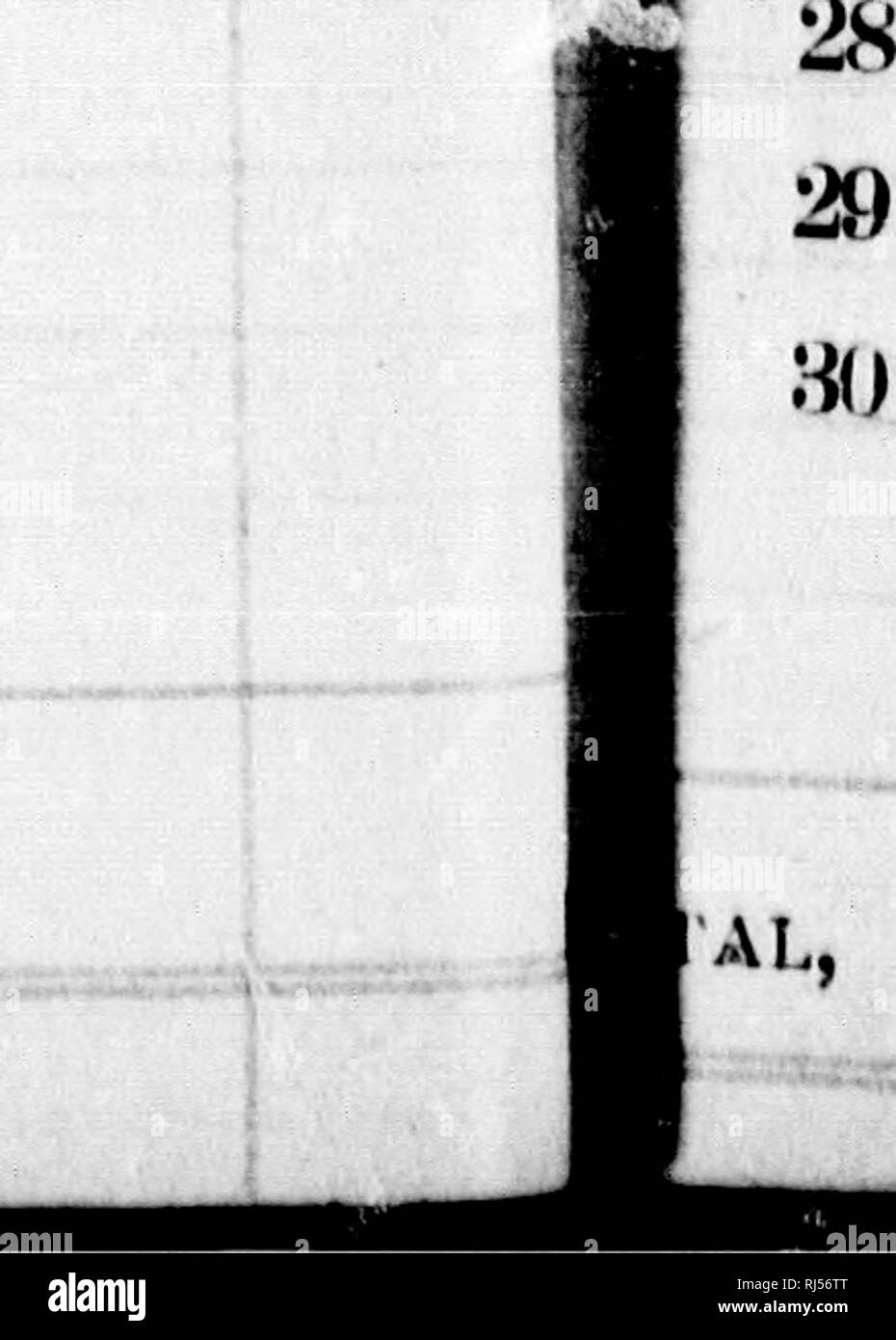 . Le Farmer's hand book et guide [microform]. L'agriculture ; l'Agriculture. 1 POUR SEPTEMBRE. 0-A.sia : F.A.I.OxjT iroR TD. •Total Mlb. Paiement '"e&gt ;. Speciai Af'L.R. 1 2 8 4 5 * 0 7 8 0 10 11 12 13 14 15 16 17 1 1 • ^^^ », J 20 1 22 l 51 ToTAt. L'argent versé. 20 Si. Veuillez noter que ces images sont extraites de la page numérisée des images qui peuvent avoir été retouchées numériquement pour plus de lisibilité - coloration et l'aspect de ces illustrations ne peut pas parfaitement ressembler à l'œuvre originale.. John S. Pearce &AMP ; Co. [London, en Ontario ?  : S. n. ] Banque D'Images