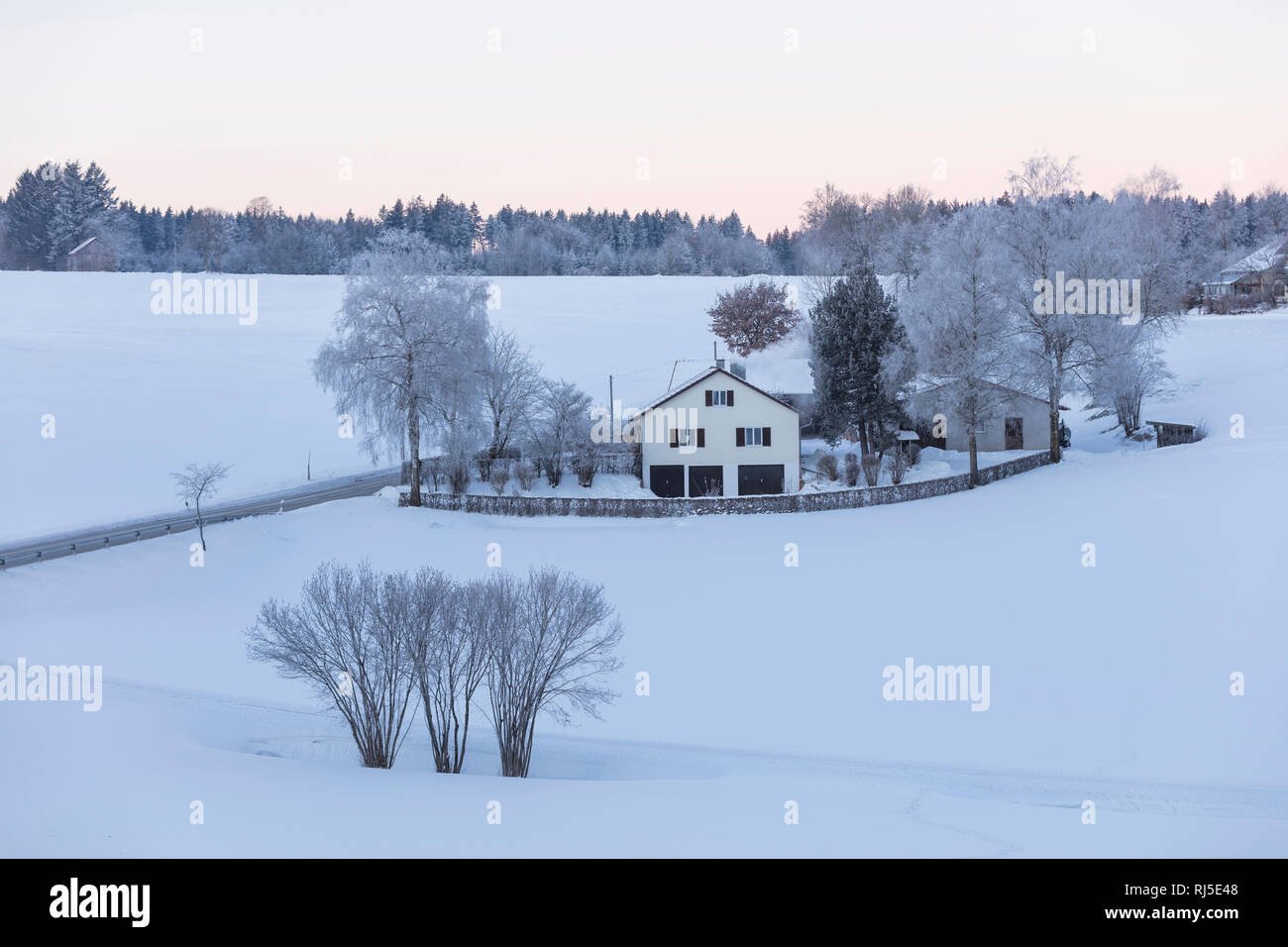 Aussiedlerhof im Schnee, Deutschland, Bayern, Allgäu, Morgen Banque D'Images