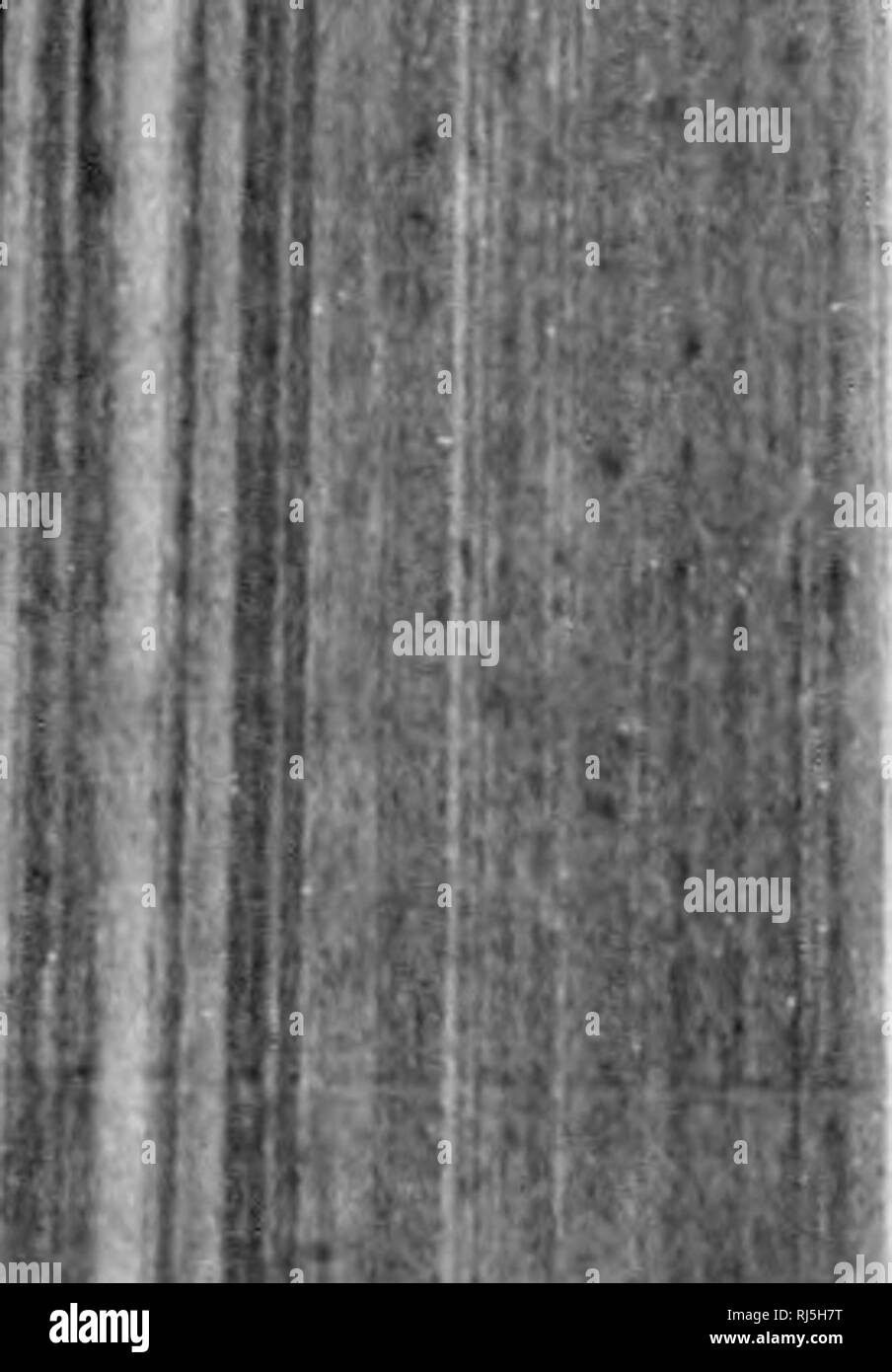 rencontres lac st-jean