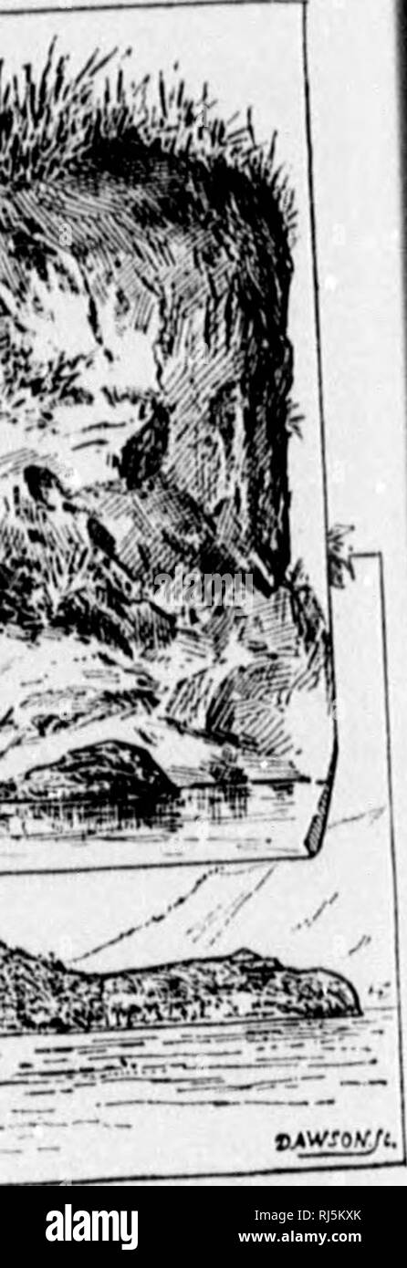 . Sport, Voyages et aventures à Terre-Neuve et aux Antilles [microform]. La pêche, chasse, pêche commerciale ; Chasse. SANTA CATALINA. 369 les 0 dernières accom- Liled, comme 1 que nous jout rht 111. "'J. d tête la tête de Morgan d'un Okl dis- dont l'Est ont été le siège de l'buceaneers, et d'eux ils ont fait des expéditions à découper les galions espagnols sur leur chemin de l'espagnol au Panama et à la main. Les ruines d'un fort étaient nettement visibles, et plusieurs vieux fusils étaient couchés dans l'eau au pied de celui-ci. Catalina est inhabitée ; mais est partiellement cultivée par les personnes vivant dans l'ancienne Prov Banque D'Images