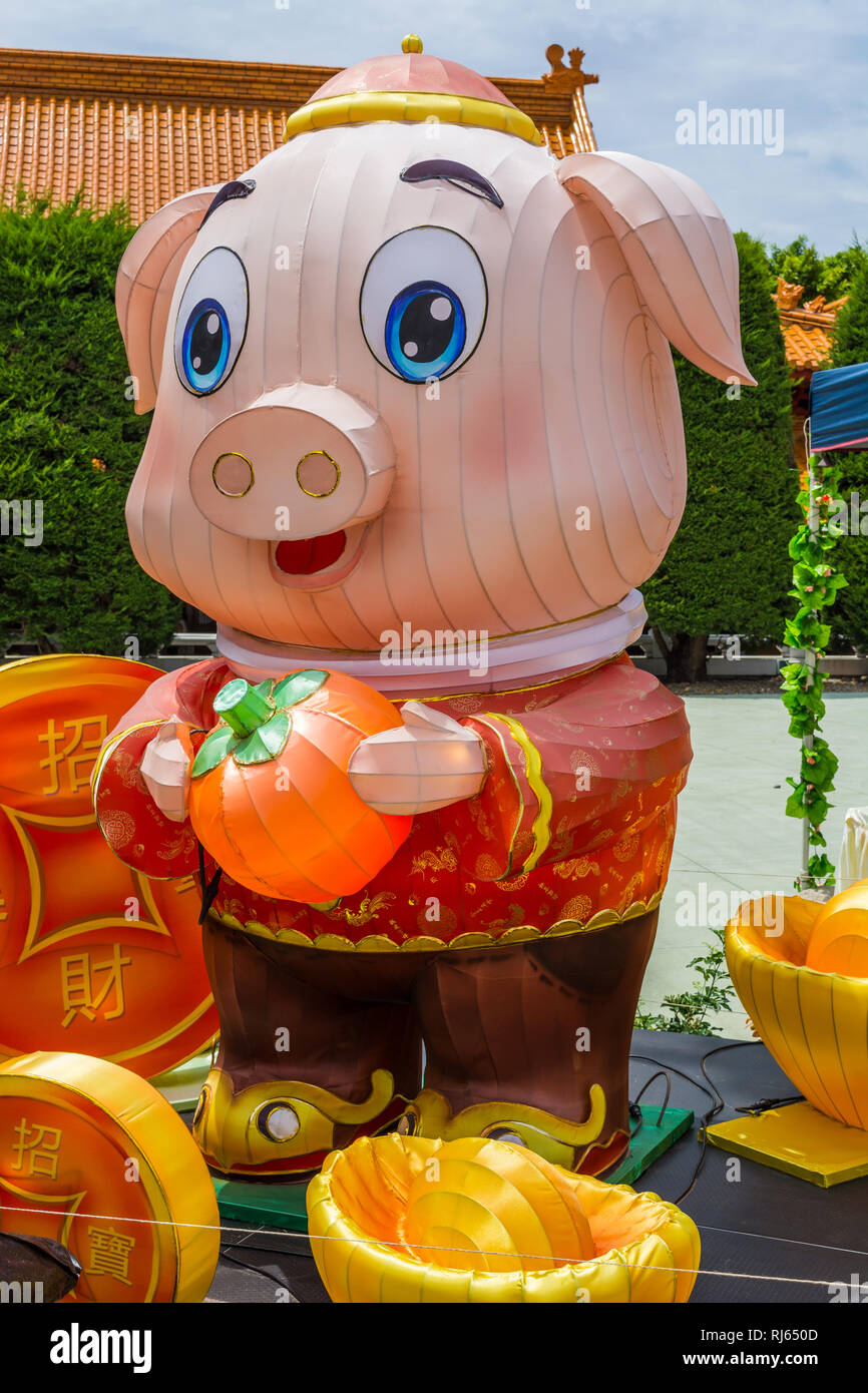 Année du cochon célébrations, Temple Nan Tien, Wollongong Banque D'Images