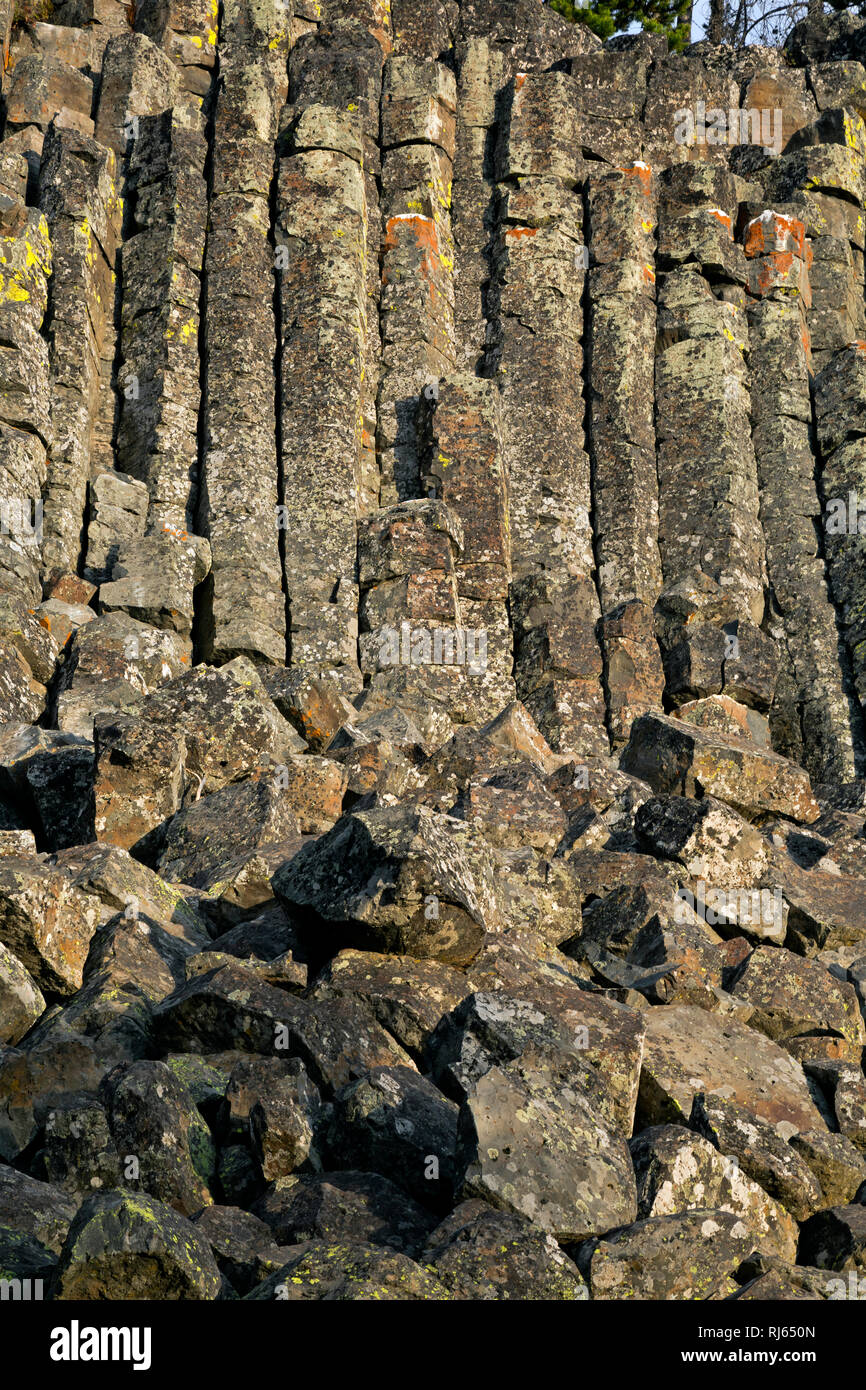 WYOMING WY03138-00...des orgues basaltiques - à Sheepeater Cliff dans le Parc National de Yellowstone. Banque D'Images WYOMING WY03138-00...des orgues basaltiques - à Sheepeater Cliff dans le Parc National de Yellowstone. Banque D'Images