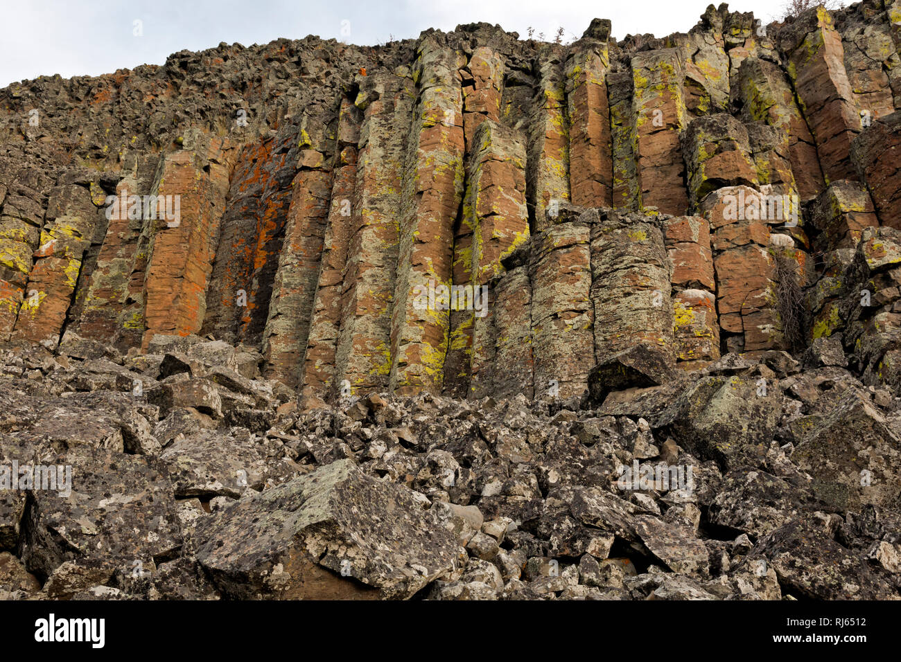WY03142-00...WYOMING - falaise de basalte en colonnes le long de la rivière Gardiner couvertes de lichens colorés près de la zone de visualisation à Sheepeater Cliff Yellowsto Banque D'Images WY03142-00...WYOMING - falaise de basalte en colonnes le long de la rivière Gardiner couvertes de lichens colorés près de la zone de visualisation à Sheepeater Cliff Yellowsto Banque D'Images