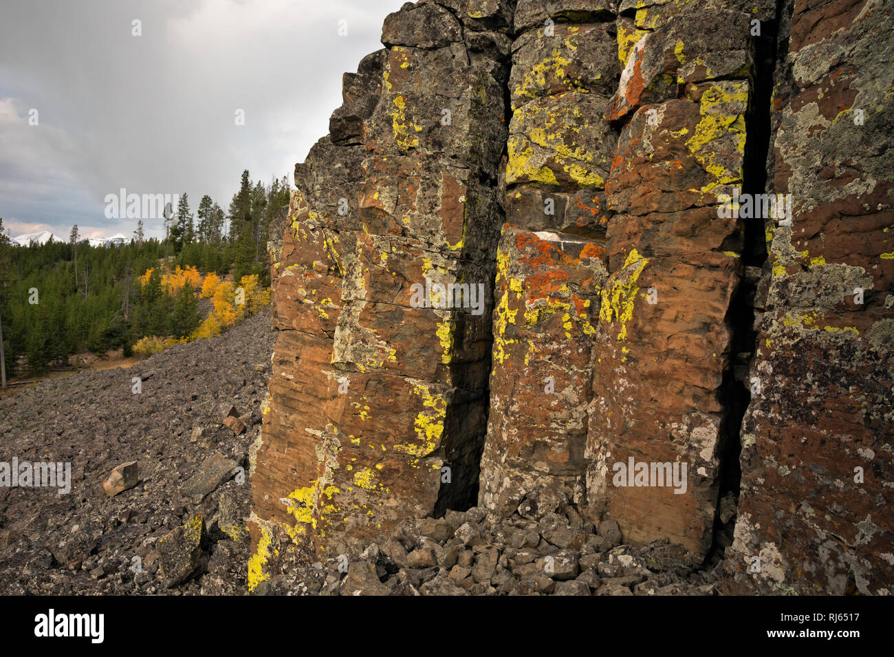 WY03143-00...WYOMING - falaise de basalte en colonnes le long de la rivière Gardiner couvertes de lichens colorés près de la zone de visualisation à Sheepeater Cliff Yellowsto Banque D'Images WY03143-00...WYOMING - falaise de basalte en colonnes le long de la rivière Gardiner couvertes de lichens colorés près de la zone de visualisation à Sheepeater Cliff Yellowsto Banque D'Images