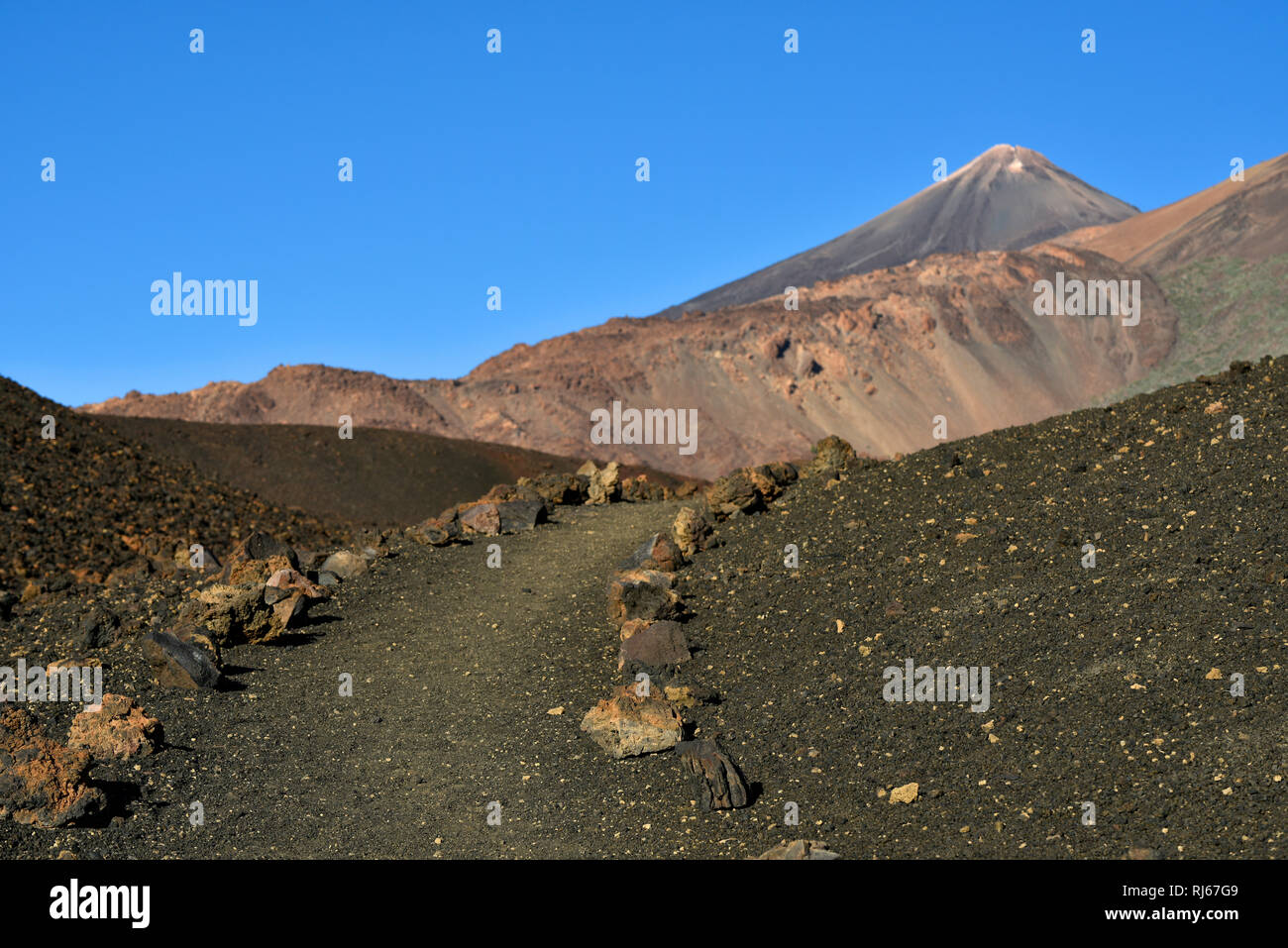 Wanderweg zum Pico del Teide und Pico Viejo, Montaña Samara, le Parc National de Teide, Teneriffa, Kanarische Inseln, Spanien Banque D'Images