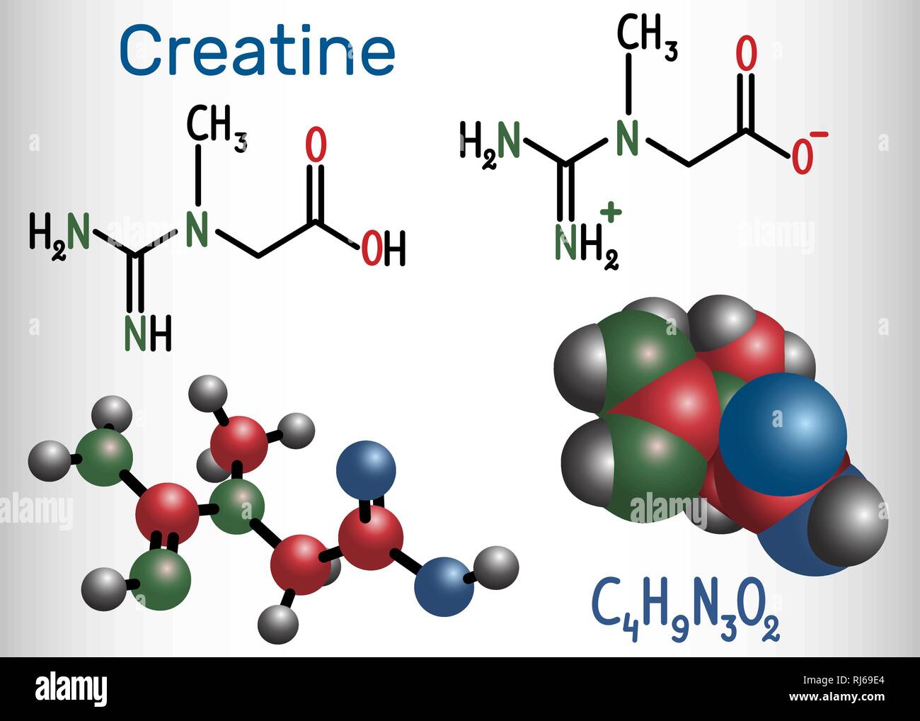 Molécule de créatine. Formule chimique structurale et molécule modèle. Vector illustration Illustration de Vecteur