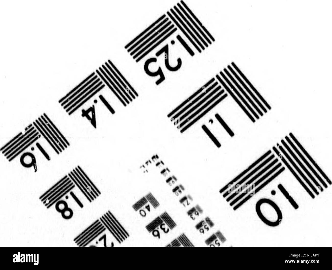 . L'histoire de la terre et l'homme [microform]. La géologie, la paléontologie, l'homme ; Géologie ; paléontologie ; Homme. 1.0 ! ! :"" ilM I.I 1,25 1^ ^ m 12,2 2,0 1,8 U IIIIII.6 V] &Lt ;^ /}. yw ( ? / /A.  %&Lt ;^^^ ^^. Veuillez noter que ces images sont extraites de la page numérisée des images qui peuvent avoir été retouchées numériquement pour plus de lisibilité - coloration et l'aspect de ces illustrations ne peut pas parfaitement ressembler à l'œuvre originale.. Dawson, J. W. (John William), Sir, 1820-1899. Toronto : Copp Clark Banque D'Images