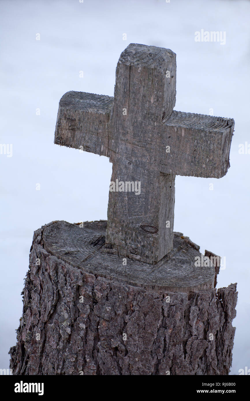 Baum gesägt Holzkreuz aus Banque D'Images