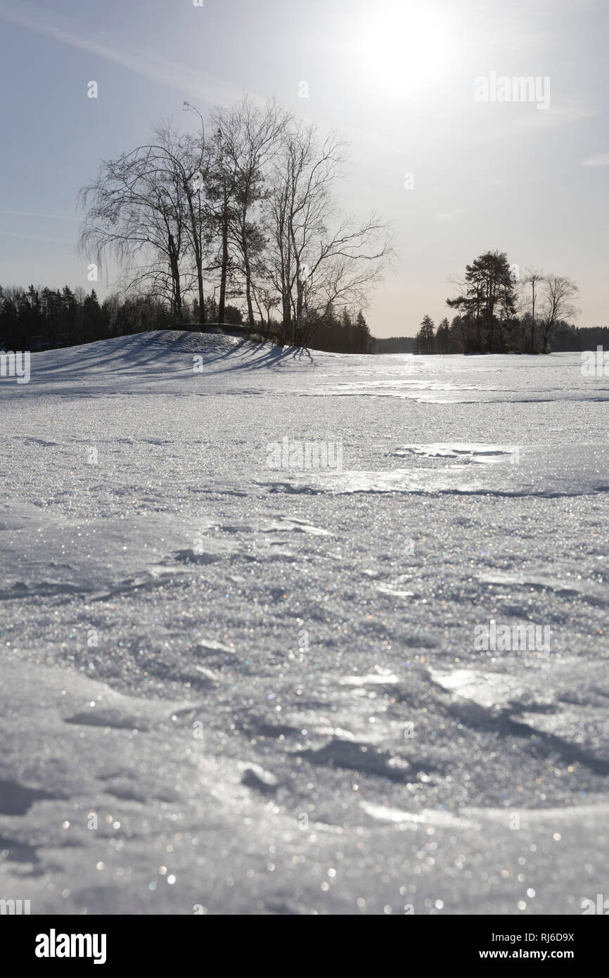 Finnland, Saimaa-Gebiet, Insel im Winter mit Schnee und Sonne mit Schatten Banque D'Images