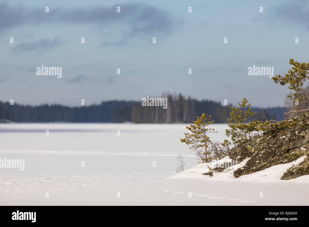 Finnland, hiver, Schnee und auf Felsen Voir Banque D'Images