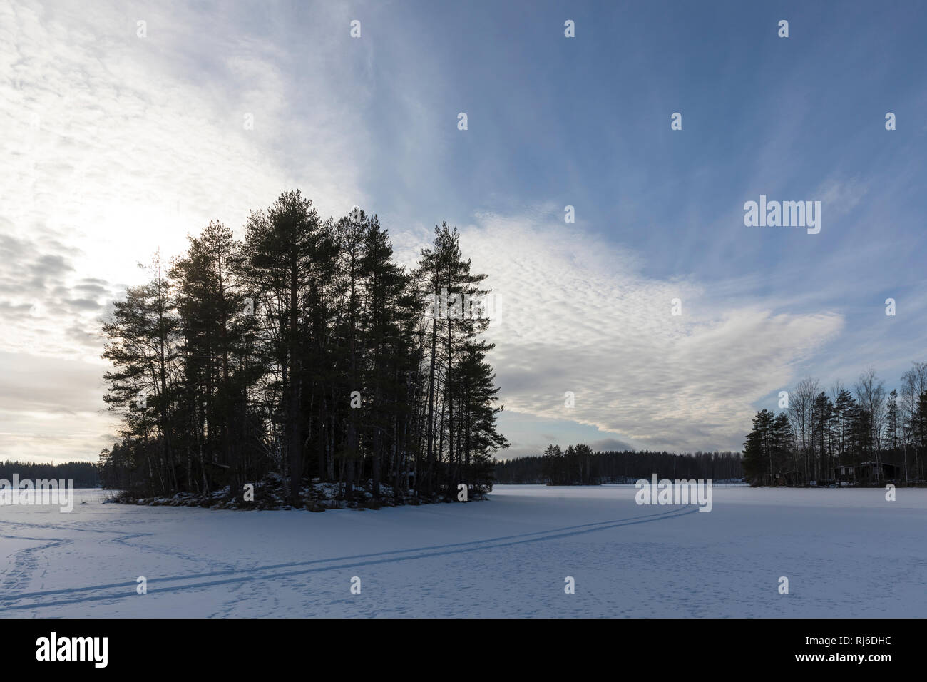 Finnland, Landschaft mit Schnee, épi und Bäumen auf Voir Banque D'Images
