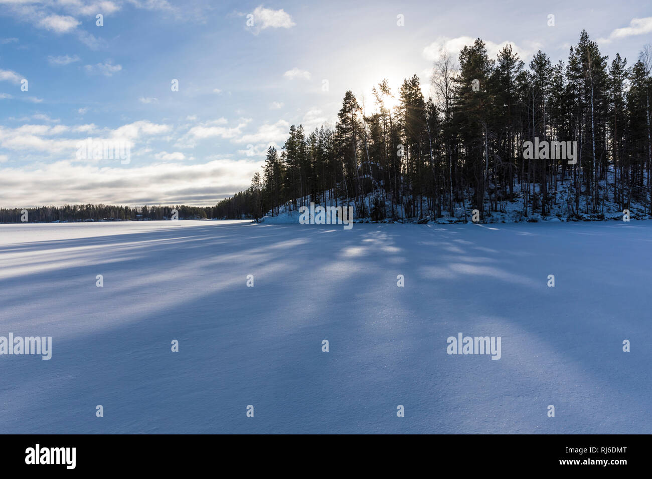 Finnland, Saimaa-Gebiet, Schneedecke mit Sonne und Schatten Banque D'Images