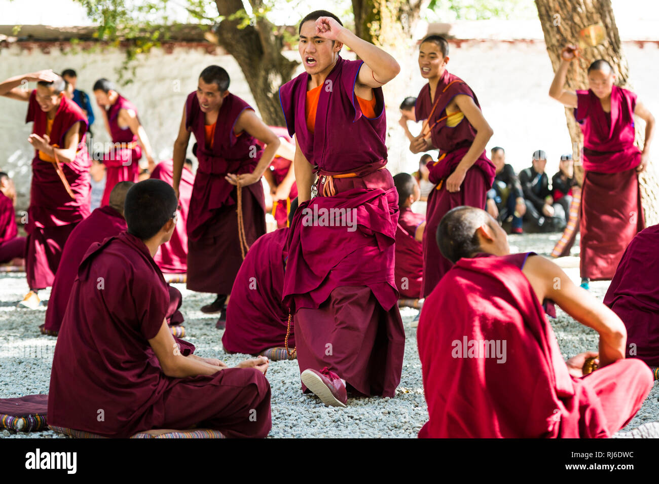Tibet, das Kloster sérums, Mönche Banque D'Images
