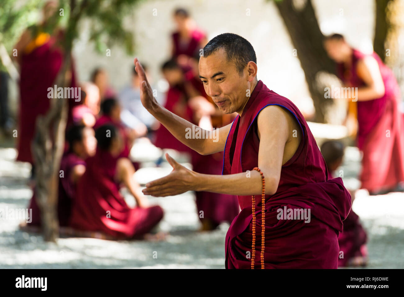 Tibet, das Kloster sérums, Mönche Banque D'Images