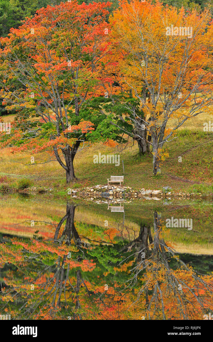 Peu Long étang, peu Long Pond Road Transport Boucle, l'Acadia National Park, Mount Desert Island, Maine, USA Banque D'Images